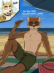 anthro beach beach_blanket biped brown_body brown_fur clothed clothing collar countershade_fur countershading duo fur looking_at_viewer male shock_collar shorts_only slim_anthro slim_male sunglasses_on_face topless yellow_body yellow_fur tiraccoon artemis_(remember_the_flowers) cooper_krager canid canine canis mammal mustelid musteline true_musteline weasel wolf 2024 3:4 hi_res