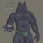 abs anthro black_body black_claws black_fur claws clothing fur grey_body grey_fur male muscular muscular_anthro muscular_male nipples pawpads pecs soft_abs solo underwear pinnati canid canine canis mammal wolf hi_res