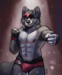 abs anthro biped black_nose bodily_fluids bulge clothing fur fur_markings gloves green_eyes grey_body grey_fur hair handwear inner_ear_fluff male markings multicolored_hair nipples pecs red_hair shirtless_male simple_background solo sweat sweatdrop tail tuft wrestler wrestling_briefs spyz_(artist) clawstar_wrestling elijah_(clawstar_wrestling) canid canine mammal 2023 digital_drawing_(artwork) digital_media_(artwork) shaded watermark