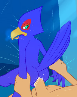 anal anal_penetration anthro anthro_penetrated arm_grab arm_pull balls biped bodily_fluids cum cum_in_ass cum_inside duo erection feathers from_behind_position genital_fluids genitals green_eyes half-closed_eyes human_on_anthro human_penetrating human_penetrating_anthro interspecies looking_back male male/male male_penetrated male_penetrating male_penetrating_male narrowed_eyes nude open_mouth penetration penis prison_guard_position sex solo_focus sweat junebug69 nintendo star_fox falco_lombardi avian bird falcon falconid human mammal