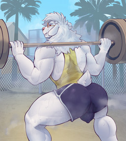 anthro athletic_wear balls_outline big_butt bodily_fluids bottomwear bulge butt clothing detailed_background detailed_bulge exercise eyewear fur genital_outline genitals glasses gym_bottomwear gym_shorts male musk outside perineum rear_view shirt shorts solo sweat sweat_stain sweatdrop sweaty_legs sweaty_thighs tail tank_top topwear wearing_glasses weightlifting weights white_body white_fur workout freakdan1el bovid caprine mammal sheep hi_res