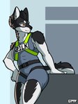 anthro athletic athletic_anthro athletic_female female harness muscular muscular_anthro solo gasmaskfox ronja_(gasmaskfox) canid canine canis domestic_dog elkhound jamthund mammal nordic_sled_dog spitz 2023 hi_res