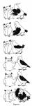 2015 angry avian bird boggartowl comic corvid corvus_(genus) crow crow_(bc999) digital_drawing_(artwork) digital_media_(artwork) duo facepalm hi_res humor line_art monochrome oscine owl owl_(boggartowl) passerine poking russian_text text translated