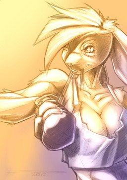 anthro boxing boxing_gloves breasts cleavage clothed clothing female fur hair handwear muscular muscular_anthro muscular_female nipple_outline shirt short_hair solo sport sunset tank_top topwear fabio_paulino white-devil ko_(fabio_paulino) kangaroo lagomorph leporid macropod mammal marsupial rabbit 2010