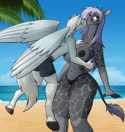 3_fingers amber_eyes anthro beach black_hooves black_nipples blush bottomwear breasts clothed clothing day duo eyebrows female fingers fur grey_body grey_eyebrows grey_fur grey_hair hair hooves kissing leaf male male/female nipples outside panties sand shorts standing tail tail_tuft tuft underwear water white_body white_fur wings s7v8 mythology equid equine giraffe giraffid mammal mythological_creature mythological_equine pegasus