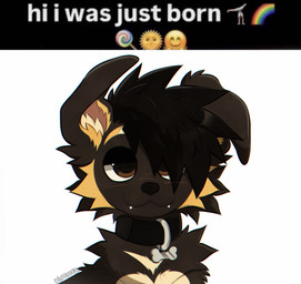 collar feral hair male solo text wuffsiez wuffy_(wuffsiez) canid canine canis domestic_dog german_shepherd herding_dog mammal pastoral_dog digital_media_(artwork) draw_over english_text meme trans_(lore) trans_man_(lore)