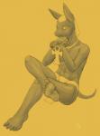 3_wishes 5_toes ankh anubis canine comission deity egyptian hindpaw jackal looking_at_viewer male paws pose sitting solo toes yellowpower
Rating: Safe
Score: 7
User: yellowpower
Date: September 25, 2013