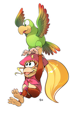 3_toes ambiguous_gender anthro barefoot beak blonde_hair bottomless brown_body brown_fur carrying_another clothed clothing duo feathered_wings feathers feet female fingers fur green_eyes hair hat headgear headwear long_hair open_mouth shirt simple_background soles toes tongue topwear white_background wings mu_963 donkey_kong_(series) nintendo dixie_kong squawks_the_parrot avian bird haplorhine mammal monkey primate 2021 hi_res