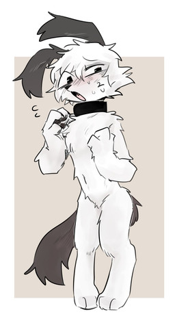 anthro biped black_body black_ears black_eyes black_fur black_tail blush collar collar_only digitigrade front_view fur handpaw male male_anthro multicolored_body multicolored_fur navel nude nude_anthro nude_male open_mouth paws simple_background slim slim_anthro slim_male solo tail tan_background two_tone_body two_tone_fur white_background white_body white_fur vitame83 canid canine canis domestic_dog mammal 2025 digital_drawing_(artwork) digital_media_(artwork) hi_res shaded soft_shading