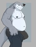 anthro black_clothing black_nipples black_underwear bottomwear bulge clothed clothing looking_down male multicolored_body nipples overweight overweight_male pants solo tail topless two_tone_body underwear amiryth tight_pants_(meme) yosef_(amiryth) fish marine shark hi_res meme