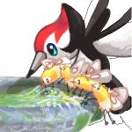 ambiguous_gender birdbath blue_eyes feathered_wings feathers feral group insect_wings simple_background water white_background wings dragontie nintendo pokemon arthropod avian bird cutiefly generation_7_pokemon insect pikipek pokemon_(species) 1:1 low_res