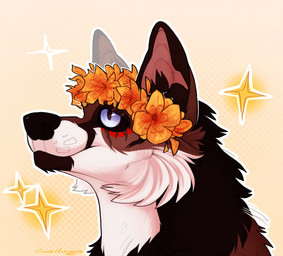 abstract_background accessory black_body black_fur black_nose blue_eyes blush brown_body brown_fur cheek_tuft closed_smile eyebrows eyelashes facial_tuft female feral flower flower_accessory flower_crown flower_in_hair flower_on_head fluffy fur glistening glistening_eyes glistening_nose hair hair_accessory happy light looking_away looking_up markings mouth_closed multicolored_body multicolored_fur neck_tuft pattern_background plant scar simple_background smile snout solo sparkles sparkling_eyes star tuft white_body white_fur yellow_background conhugo canid canine canis fox mammal bust_portrait detailed headshot_portrait hi_res icon portrait shaded signature