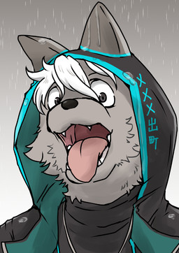 clothed clothing cute_fangs fangs fur grey_body grey_fur hair looking_at_viewer male raining solo teeth tongue tongue_out white_hair zarameyuki625 canid canine canis mammal character_request hi_res