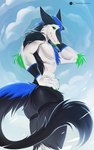 anthro athletic athletic_anthro athletic_male biped black_body black_fur black_tail blue_body blue_fur blue_hair blue_sky cloud countershade_face countershade_fur countershade_torso countershading day detailed_background fur green_eyes hair hand_on_head hand_on_hip looking_at_viewer male outside pecs sky solo standing tail white_body white_countershading white_fur nerton sergal 2021 absurd_res artist_name digital_media_(artwork) hi_res portrait shaded three-quarter_portrait