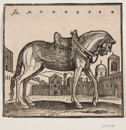 1582 ambiguous_feral ambiguous_gender building city city_background cityscape detailed_background feral halter hooves leash mane outside quadruped saddle side_view solo standing tail text tower unguligrade wall_(structure) melchior_lorck public_domain equid equine horse mammal 16th_century absurd_res ancient_art dated hatching_(art) hi_res latin_text monochrome shaded signature traditional_media_(artwork)