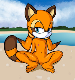adolescent anthro beach bedroom_eyes bodily_fluids feet female flat_chested genitals looking_aside narrowed_eyes navel nipples nude outdoor_nudity outside pose public public_nudity seductive sitting solo sweat sweatdrop tail thick_thighs vulva wide_hips young young_anthro young_female significantother sega sonic_the_hedgehog_(series) marine_the_raccoon mammal procyonid raccoon 2025 absurd_res hi_res pinup