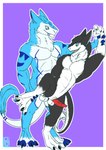 anthro duo hand_holding holding_leg looking_at_another looking_at_partner male male/male male_penetrated male_penetrating male_penetrating_male muscular penetration sex simple_background tail poli_adamantes mizuiro_chizu sergal absurd_res hi_res