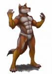 abs anthro barefoot biped black_nose brown_body brown_fur clothed clothing cosplay feet fluffy fluffy_tail fur green_eyes male muscular muscular_anthro muscular_male simple_background solo standing tail underwear white_background bluechance ochropus canid canine canis coyote mammal hi_res