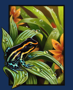 black_body black_markings black_skin blue_body blue_legs blue_skin feral flower markings multicolored_body multicolored_skin on_plant orange_markings plant quadruped solo water_drop yellow_markings alexpahomov amphibian frog poison_dart_frog sky-blue_poison_dart_frog 2023 alpha_channel detailed digital_media_(artwork) digital_painting_(artwork) hi_res painting_(artwork)