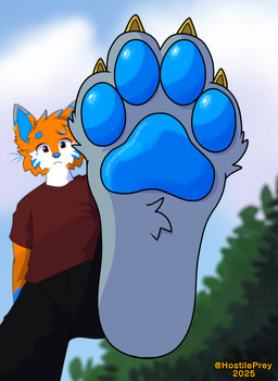 anthro blue_pawpads bottomwear claws clothing day feet first_person_view foot_fetish foot_focus looking_at_viewer looking_down looking_down_at_viewer macro male micro outside pants pawpads paws perspective shirt solo t-shirt topwear hostileprey kitsumuji_ceher kitsumuji_ceher_(hostileprey) canid canine fox mammal red_fox true_fox absurd_res hi_res