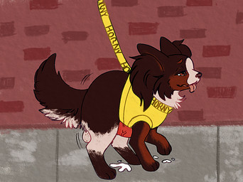 animal_genitalia animal_penis aroused balls bodily_fluids brick_wall canine_genitalia canine_penis cum cum_on_ground ejaculation feral genital_fluids genitals harness leash male orgasm pelvic_thrust penis sidewalk small_but_hung solo tongue tongue_out wall_(structure) shockinglylazy coconut_(cokotheschnoot) canid canine canis chihuahua domestic_dog mammal mixed_breed papillon toy_dog