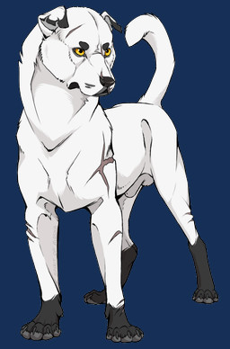 alternate_form alternate_species anatomically_correct anatomically_correct_balls anatomically_correct_feral anatomically_correct_genitalia animal_genitalia arm_scar balls black_nose butt claws curved_tail dewclaw digitigrade dipstick_arms dipstick_ears dipstick_legs ear_markings ear_scar ears_up eyebrows facial_scar feral floppy_ears fully_sheathed fur genitals glistening glistening_nose gloves_(marking) grey_arms grey_body grey_claws grey_ears grey_eyebrows grey_fur grey_legs grey_lips grey_pawpads grey_paws head_scar iris leg_markings leg_scar lip_scar lips looking_away male markings mouth_closed multicolored_arms multicolored_body multicolored_ears multicolored_fur multicolored_legs nose_scar orange_eyes pawpads pupils quadruped raised_tail realistic_feral scar sheath shoulder_scar simple_background snout snout_scar socks_(marking) solo standing tail text thick_neck transparent_background two_tone_arms two_tone_body two_tone_ears two_tone_fur two_tone_legs whisker_markings white_arms white_back white_balls white_body white_butt white_chest white_ears white_face white_fur white_head white_legs white_neck white_sheath white_snout white_tail x_scar spirit-of-alaska warriors_(book_series) blackfoot_(erin_hunter) blackstar_(warriors) canid canine canis domestic_dog mammal 2018 alpha_channel artist_name digital_media_(artwork) english_text