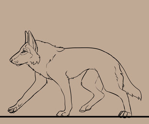 ambiguous_gender cheek_tuft facial_tuft feral mouth_closed pawpads side_view simple_background solo tuft walking killthe_demon canid canine mammal animated hi_res monochrome