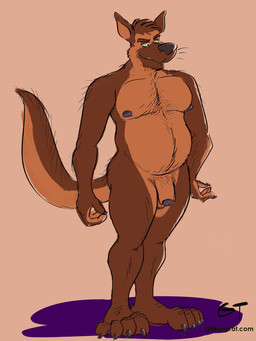 animal_genitalia anthro balls black_nose body_hair butt_hair chest_hair flaccid foreskin fur genitals glans hairy_balls happy_trail leg_hair long_tail male multicolored_body multicolored_fur nipples nude partially_retracted_foreskin penis pubes sheath slightly_chubby solo standing stubble tail text two_tone_body two_tone_fur yellow_sclera gtskunkrat canid canine canis domestic_dog german_shepherd herding_dog mammal pastoral_dog 3:4 hi_res url