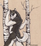 anthro backsack balls butt genitals looking_back male nude plant presenting solo tail tree blackteagan canid canine canis domestic_dog husky mammal nordic_sled_dog spitz