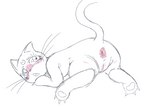 anus blush blush_lines bodily_fluids claws female feral pawpads paws solo tears whiskers anonymous_artist sailor_moon_(series) luna_(sailor_moon) domestic_cat felid feline felis mammal