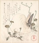 1820 19th_century ambiguous_gender ancient_art black_eyes dandelion feral flower fur grey_body grey_fur hi_res japanese_text kubo_shunman lagomorph leporid mammal multicolored_body multicolored_fur paws plant rabbit solo text traditional_media_(artwork) translation_request two_tone_body two_tone_fur whiskers white_body white_fur woodblock_print