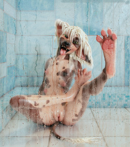 4_fingers 4_toes against_surface anthro bathing behind_glass breasts butt butt_squish claws condensation crossed_legs droplets feet female fingers fingers_between_toes floor fog foot_focus foot_squish genitals glass glistening glistening_body hair hairless humanoid_genitalia humanoid_vulva loli markings mismatched_nipples multi_breast nipples nude on_glass on_surface open_mouth pawpads pink_pawpads presenting presenting_vulva shower showering sitting sitting_on_ground small_breasts solo spots spotted_body spread_legs spreading squish tile tile_floor tile_wall toe_claws toes tongue tongue_out vulva wall_(structure) wet wet_body wet_hair white_hair young young_anthro tchaikovsky2 jinjing-yu canid canine canis chinese_crested_dog domestic_dog hairless_dog mammal toy_dog 3d_(artwork) digital_media_(artwork) hi_res