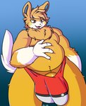 anthro balls big_balls big_bulge big_penis bulge clothing fluffy fur genitals hair male multicolored_clothing multicolored_underwear orange_body orange_eyes orange_fur orange_hair overweight overweight_anthro overweight_male penis pokeball_underwear pubes red_clothing red_underwear solo thong two_tone_clothing two_tone_underwear underwear white_clothing white_underwear yellow_cheeks daniruu nintendo pokemon generation_9_pokemon ground_squirrel mammal marmot pawmot pokemon_(species) rodent sciurid hi_res