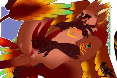 3_penises animal_genitalia anthro anus beak butt claws erection feathers feral genital_slit genitals looking_at_viewer lying male multi_genitalia multi_penis nude penis presenting presenting_penis solo spreading tapering_penis wings omez european_mythology greek_mythology mythology takora_(aphelion1) accipitrid accipitriform avian bearded_vulture bird gryphon mythological_avian mythological_bird mythological_creature mythological_firebird old_world_vulture phoenix vulture colored digital_drawing_(artwork) digital_media_(artwork) flat_colors