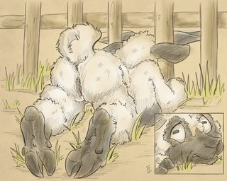 2017 anthro caprine female flinters fur hooves mammal pussy rear_view sheep solo stuck white_fur
Rating: Explicit
Score: 0
User: Googlipod
Date: September 26, 2017 2017 anthro caprine female flinters fur hooves mammal pussy rear_view sheep solo stuck white_fur
Rating: Explicit
Score: 0
User: Googlipod
Date: September 26, 2017