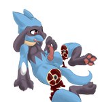 1:1 animal_genitalia animal_penis anthro canid canine canine_genitalia canine_penis dismemberment envtoxic generation_4_pokemon genitals gore gore_focus hi_res interspecies knot male mammal nintendo penis pokemon pokemon_(species) pokephilia riolu simple_background smile solo spread_legs spreading white_background