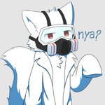 anthro clothing coat fur gas_mask lab_coat male mask red_eyes simple_background solo text topwear white_body white_fur zetsuya06 changed_(video_game) dr._k_(changed) canid canine canis mammal wolf hi_res shaded simple_shading