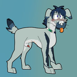 animal_genitalia animal_penis belly blue_markings blush canine_genitalia canine_penis collar feral fur genitals green_body green_fur hair half-erect lipsticking male markings multi_nipple nipples orange_tongue penis purple_eyes red_penis sheath short_hair short_tail side_view solo standing tail tongue tongue_out toony unnatural_colors whiskers white_belly conditional_dnp hellion jarvis_(distempetor) canid canine canis domestic_dog mammal 2025 digital_media_(artwork) hi_res ibispaint_(artwork)