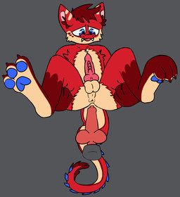 anal animal_genitalia animal_penis anthro anus balls barefoot blue_pawpads bodily_fluids butt canine_genitalia canine_penis claws cum cum_covered cum_in_ass cum_inside cumshot digitigrade disembodied_penis duo ejaculation erection feet foot_focus fur gaping gaping_anus genital_fluids genitals hair inner_ear_fluff knot knotted_penis knotting leaking_cum male male/male male_penetrated male_penetrating male_penetrating_male messy nude orgasm pawpads paws penetration penile penis red_body red_fur ridged_knotted_penis sex simple_background solo_focus spreading tail throbbing throbbing_penis toes tuft underbelly maxcatuwu mythology valor_(bucketio) dragon furred_dragon furred_scalie mythological_creature mythological_scalie scalie animated digital_media_(artwork) hi_res