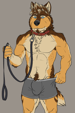 anthro armpit_hair black_nose blue_eyes body_hair brown_body brown_fur bulge clothed clothing collar detailed_bulge facial_hair fur goatee grey_clothing grey_underwear happy_trail holding_leash holding_object leash leashed_collar looking_at_viewer male muscular muscular_anthro red_collar simple_background smile smiling_at_viewer smirk smirking_at_viewer solo standing tan_body tan_fur topless topless_anthro topless_male tugging_clothing underwear waistband_pull yellow_body yellow_fur rekkidoggo rex_(rekkidoggo) canid canine canis domestic_dog mammal 2:3 absurd_res hi_res