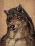 anthro black_nose blue_eyes male scar solo cedarwolf mythology rakan canid canine canis mammal mythological_canine mythological_creature werecanid werecanine werecreature werewolf wolf 2018 digital_media_(artwork) portrait