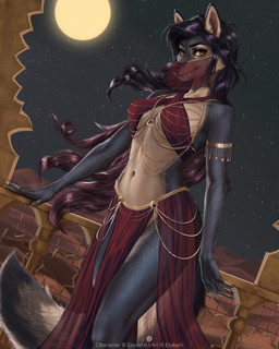 5_fingers anthro biped black_hair breasts claws clothed clothed_anthro clothed_female clothing cloud countershade_torso countershading desert female finger_claws fingers front_view fur grey_body grey_fur grey_tail hair handpaw inner_ear_fluff looking_at_viewer navel night orange_eyes outside paws sand sky smile solo standing tail teeth tuft etskuni amela_(esperlin) canid canine mammal 2025 2026 4:5 digital_drawing_(artwork) digital_media_(artwork) hi_res