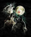 ambiguous_gender aurora_(phenomenon) eyes_closed feral fur grey_body grey_fur group howl milk moon night open_mouth outside parody third-party_edit unknown_artist three_wolf_moon canid canine canis mammal wolf low_res shopped