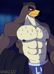 abs anthro beak biceps blush clothed clothing jockstrap looking_at_viewer male muscular muscular_anthro muscular_male nipples pecs solo topless underwear vier_punksterne disney ducktales ducktales_(2017) falcon_graves avian bird falcon falconid 2018 absurd_res digital_media_(artwork) hi_res