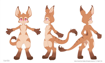 anthro biped breasts butt claws feet female fingers front_view fur nude nude_anthro nude_female rear_view simple_background solo standing stripes tail text toes ancesra macropod mammal marsupial wallaby 2026 5:3 digital_drawing_(artwork) digital_media_(artwork) english_text hi_res