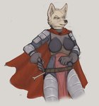 anthro armor breast_armor cape clothing female gloves handwear holding_melee_weapon holding_object holding_sword holding_weapon leg_armor looking_aside melee_weapon shoulder_guards solo sword vambrace weapon banoncat canid canine canis domestic_dog mammal 2021 hi_res