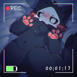 anthro bed black_body black_fur blush blush_lines censored_genitalia censored_penis digitigrade fur furniture lying male nude pawpads recording recording_video solo tail text m0fuch4 changed_(video_game) puro_(changed) canid canine canis goo_creature mammal wolf 1:1 censored english_text hi_res