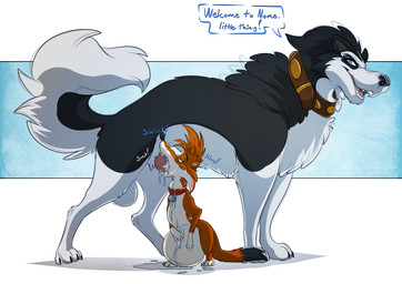 animal_genitalia animal_penis balls big_dom_small_sub black_body black_fur black_nose blue_eyes bodily_fluids brown_body brown_fur canine_genitalia canine_penis claws collar collar_only cum cum_in_mouth cum_inflation cum_inside cum_on_body cum_on_ground deep_throat dialogue dominant drinking drinking_cum duo ejaculation erection fellatio feral feral_on_feral feral_penetrated feral_penetrating feral_penetrating_feral fluffy fluffy_tail fur genital_fluids genitals half-closed_eyes inflation interspecies knot knotted_penis knotting male male/male male_penetrated male_penetrating male_penetrating_male multicolored_body multicolored_fur narrowed_eyes nude oral oral_knotting oral_only oral_penetration penetration penile penile_penetration penis penis_in_mouth quadruped servicing_from_below sex simple_background size_difference size_play smaller_penetrated sound_effects tail teeth text two_tone_body two_tone_fur conditional_dnp psy101 balto_(series) universal_studios steele_(balto) stoaty alaskan_malamute canid canine canis domestic_dog mammal mustelid musteline nordic_sled_dog spitz stoat true_musteline weasel 2018 hi_res