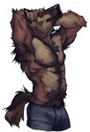 anthro armpit_hair belly_hair biceps blue_bottomwear blue_clothing blue_shorts body_hair bottomwear brown_hair chest_hair clothed clothing hair hairy hands_behind_head looking_at_viewer male muscular orange_eyes shorts shorts_only simple_background solo stretching topless white_background nmvsolidus mythology canid canine canis mammal mythological_canine mythological_creature werecanid werecanine werecreature werewolf wolf hi_res