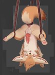 animal_genitalia animal_penis anus ball_fluff balls bdsm belly belly_markings black_nose blush blush_lines bodily_fluids bondage bound canine_genitalia canine_penis cheek_markings cheek_tuft countershade_fur countershade_snout countershade_torso countershading cute_fangs dipstick_tail erection eyebrows eyes_closed facial_markings facial_tuft fangs fluffy fluffy_chest fluffy_tail front_view fur genital_fluids genitals hanging_upside_down head_markings head_tuft inner_ear_fluff knot leaking_precum legs_tied male markings musk open_mouth pawpads paws penis pink_anus pink_pawpads precum raised_arms semi-anthro sheath snout solo spread_legs spreading sweat tail tail_markings tail_tied tan_body tan_fur teeth tuft upside_down truemew canid canine fennec_fox fox mammal true_fox 2025 digital_media_(artwork) hi_res